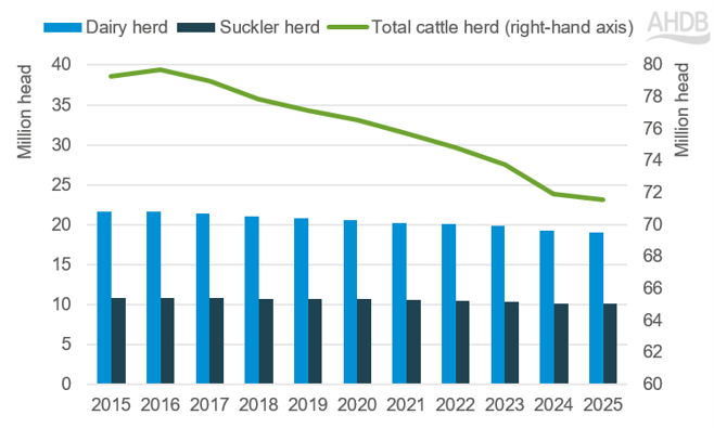 shows a combined chart with bars showing size of the dairy and suckler and line showing total herd. 